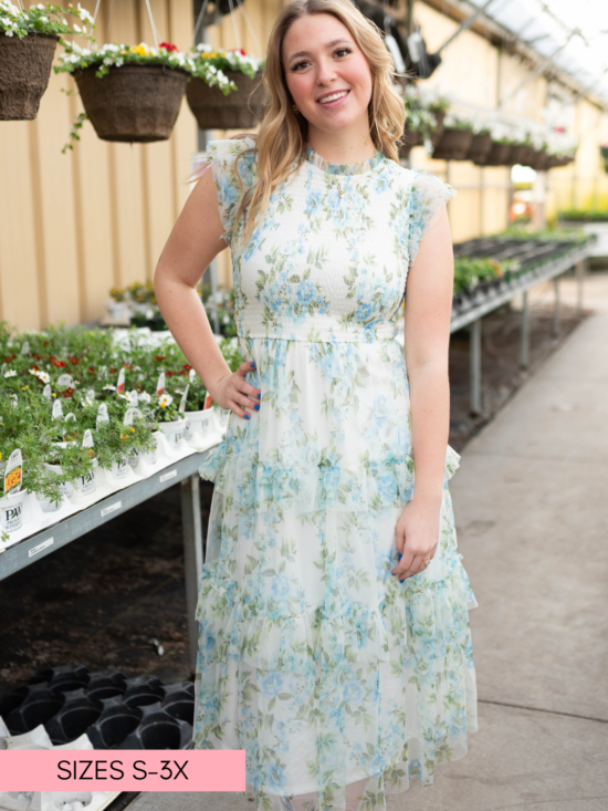3_ad1f888c-4f60-4781-993d-28e19a0ebb84.png Alexia Cream Blue Floral Mesh Dress