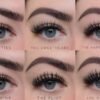 The Collection 6 Pair Eyelash Set