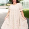 Trisha Beige Floral Embroidered Dress